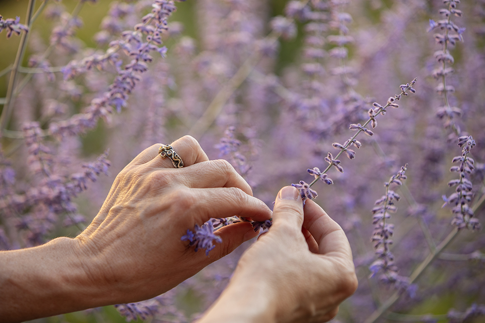 Persoonlijk coachtraject – Blaas je leven nieuw leven in Maartje Nix